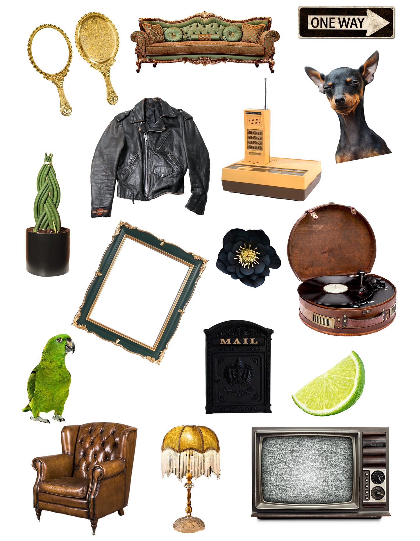The Collector's Club